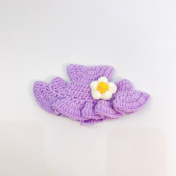 Plumeria violette