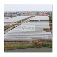 Serres à simple portée, serre en plastique à simple portée, serre intérieure complète, petite serre