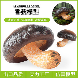 Modelos de simulación de hongos transfronterizos yxs, Pleurotus eryngii auténtico, Doble Abulón, Hongo de la cuerda venenoso, Morchella - Product Image 1