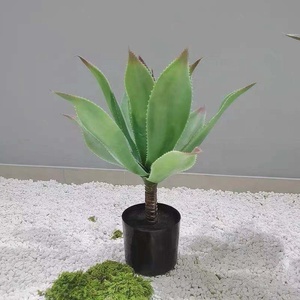Plante artificielle naturelle et colorée, bonsaï Agave Potatorum <span class=keywords><strong>Variegata</strong></span> - Product Image 3