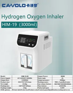 HIM-19 ticari hidrojen gazı Inhaler solunum makinesi yüksek kaliteli H2 inhalasyon makinesi