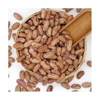 Vente en gros 99% de haricots mouchetés légers de pureté Haricots à sucre bon marché pour la mise en conserve