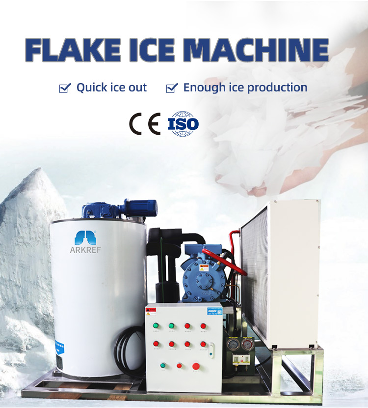 Flake Ice Machine 20t 25t 30t Ice Maker Machine for Drink and
