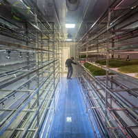 Conteneur ferme hydroponique NFT ferme de conteneur d'expédition d'agriculture verticale intelligente petite serre système de culture hydroponique de laitue