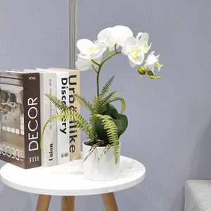 <span class=keywords><strong>Plantas</strong></span> y flores artificiales <span class=keywords><strong>de</strong></span> alta calidad <span class=keywords><strong>en</strong></span> <span class=keywords><strong>macetas</strong></span>, decoraciones para sala <span class=keywords><strong>de</strong></span> estar o mesa <span class=keywords><strong>de</strong></span> oficina - Product Image 5