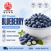 Blueberry Beku Utuh IQF, Buah Liar Kelas A Standar Ekspor, Kemurnian Tinggi, Pasokan Besar