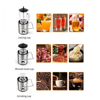 Professionele koudgeperste 600W fruitmachine, elektrische 4-in-1 blender, sapcentrifuge, draagbare sinaasappel-citroen slowjuicer