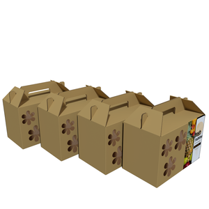 Bán Buôn Giá Hollow-Khắc Thiết Kế Trái Cây Đóng Gói Hộp Trái Cây Khô Hộp Quà Tặng Logo In Nông Nghiệp Hộp - Product Image 2