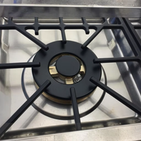 Table de cuisson à gaz en acier inoxydable 70cm FFD 5 brûleurs Classe énergétique Appareils de cuisine pour installation intérieure domestique Plaque de cuisson intégrée