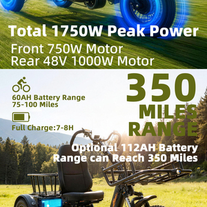 Triciclo para Adultos con Llantas Gruesas de 20 Pulgadas, Triciclo Todoterreno para Personas Mayores, Marco de Aleación de Aluminio, Frenos de Disco, Estabilidad en la Nieve e Invierno para Personas Mayores - Product Image 2