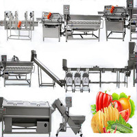 Volautomatische Groenteverwerkingsfabriek Roestvrijstalen Fruitgroente Waslijn Groentesnijmachines