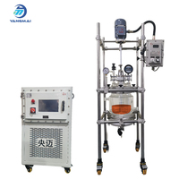 Equipo de Reacción con Agitación Automática para Laboratorio, Diseño Transparente, Olla de Reacción de Vidrio Pequeña de 5L, Motor para Mezcla Química