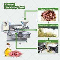 Presse à huile automatique pour tournesol et soja, machine à arachides mini de haute qualité, capacité 30 kg/h