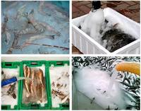 Machine à glace en boue d'eau salée de 20 tonnes avec pompe, moteur, engrenage, composants principaux pour la conservation du poisson et le nettoyage des tuyaux d'eau