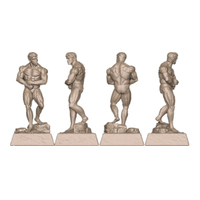 Trophée de musculation en résine Weivista, nouveau design, modèle 3D pour les tournois et les spectacles
