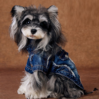 Nouvelle Collection 2026 : Veste en Jean Tendance pour Animaux – Blouson en Denim pour Chien et Vêtements pour Chat