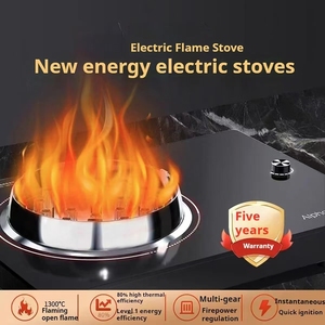 <span class=keywords><strong>2025</strong></span> Công Nghệ Mới 1 Burner Ngọn Lửa Điện Bếp Mà Không Cần Gas Tinh Khiết Điện Cho Nhà Bếp Điện Bếp Sản Phẩm Nhà Bếp - Product Image 4