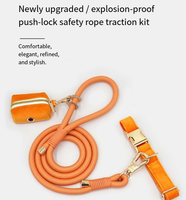 Collier simple en PU pour animaux de compagnie, laisse pour chien et chat, sac à déjections canines, corde ronde