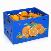 Caisse en plastique ondulé alvéolé bleu en PP, empilable et emboîtable, avec impression graphique pour le transport d'agrumes
