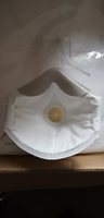 Masque facial de sécurité australien AU AS/NZS 1716 P2, masque anti-poussière jetable, respirateur de protection