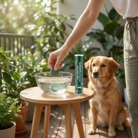 Complément dentaire effervescent de qualité supérieure pour chiens et chats, fourni par l'usine, pour l'élimination de la plaque dentaire et du tartre