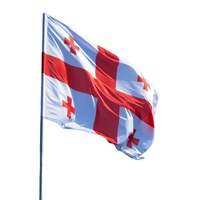 Gahumi 90x150cm Drapeau sud-soudanais Bannière Polyester Party Campaign Election South Sudan Country Flag
