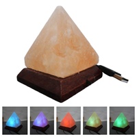 Lampe au sel de l'Himalaya en cristal naturel Lampe USB rose/blanche colorée écologique Base en bois Animal sculpté Décoration de Noël