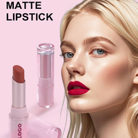 Rouge à lèvres mat vegan longue tenue, hydratant, haute pigmentation, cosmétiques pour femmes, fabrication OEM/ODM sur mesure, cadeau.