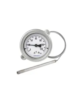 Druckt hermo meter der TWD-Serie Temperatur instrument Metall temperatur regler Kapillar temperatur transmitter