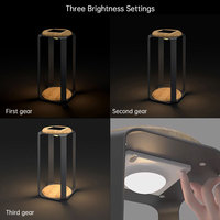 Sigarten rechargeable moderne extérieur sol lumière led lanternes solaires pour le jardin