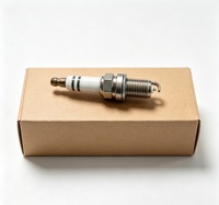 Convient pour Audi, Volkswagen, Skoda, SEAT, bougie d'allumage à double compression 06H905611, 06E905611