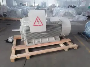 Motor Asíncrono Trifásico de Alta Calidad, 6KV 10KV 160KW-2240KW, Inducción CA, Alto Voltaje, a Prueba de Explosiones, YX3 - Product Image 4