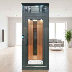Ascensor de Pasajeros sin Engranajes para Viviendas y Apartamentos Huaxiang, en Oferta, Seguro, de Alta Calidad y Diseño Moderno - Product Image 4