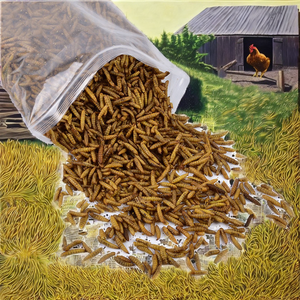 Larvas de Mosca Soldado Negra Liofilizadas, Alta Proteína, Digestión Sensible, Salud del Pelaje, Sin Granos, para Pollos, Gatos, Aves, Peces - Product Image 2