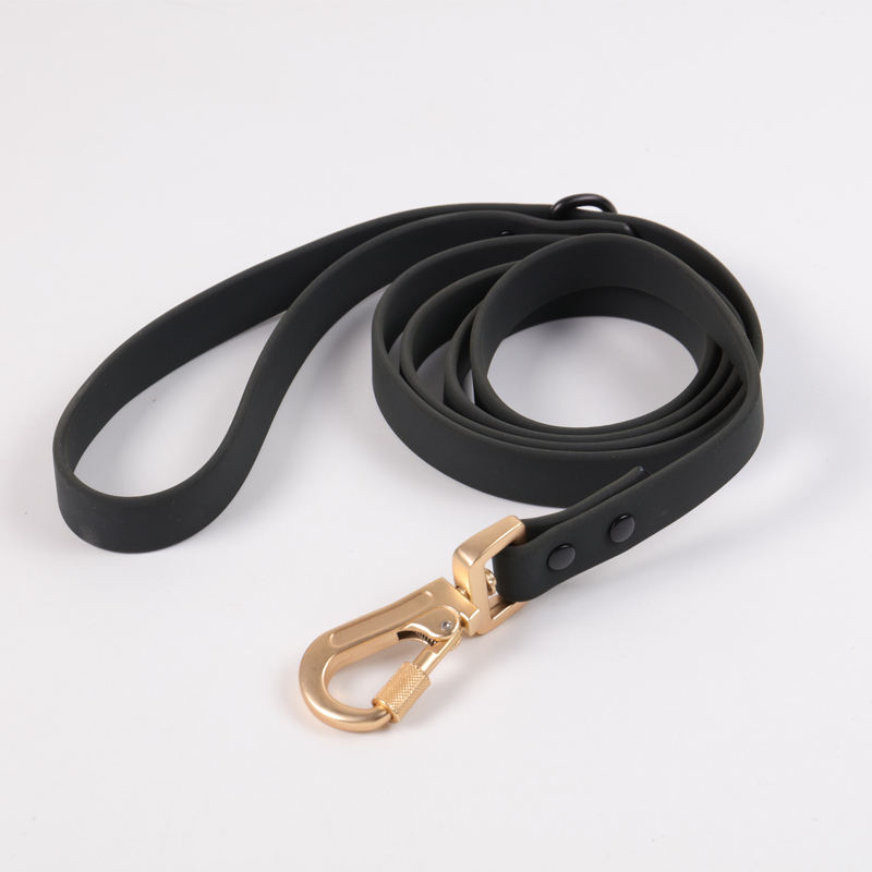 Black leash
