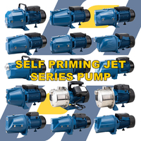 Jet 100S Pompe à eau Jet Pompe Eau Lectrique 48 M 1 pouce Pompes auto-amorçantes pour usage domestique
