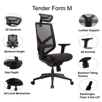 Chaise de bureau ergonomique en maille avec dossier réglable, accoudoirs 4D, siège coulissant, pivotante, inclinaison à 15 positions, verrouillage, vérin à gaz classe 4, chaise de direction
