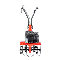 EUROSYSTEMS Motoculteur Z3 Reverse Engine OHV 139 cc Multi-Purpose Cultivateurs Agricultural Farming