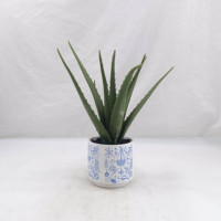 Natürliche Neuheiten Hochrealistische Immergrüne Künstliche Aloe Vera Pflanze für Innenräume Hochzeitsdekoration Umweltfreundlich