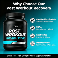 Poudre de Pré-Entraînement Personnalisée pour le Développement Musculaire, Service OEM ODM, Créatine Monohydrate, BCAA, Électrolytes, Poudre Instantanée, Énergie pour Adultes