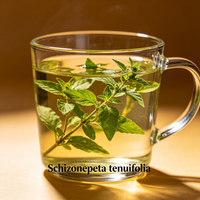 Racine de Salvia Miltiorrhiza séchée (Danshen) – Matière première végétale pour tisanes, boissons fonctionnelles, aliments naturels et additif antioxydant