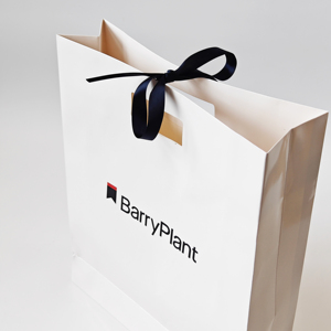 Bolsas de Papel Premium Personalizadas, Bolsas de Regalo de Joyería de Lujo con Asa y Cinta, Logotipo Privado Impreso, Hechas de Cartón - Product Image 1