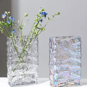 Nordic Minimalist INS Net Red Wind Desktop Decoration Decoration Transparent Glass Vase