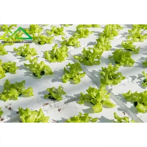 ebb and flow hydroponic system ABS agricultural multi span glass greenhouses venlo type