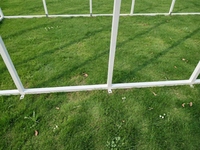 Serre de jardin avec structure en tubes d'acier et panneaux en polycarbonate, serre accessible à l'intérieur
