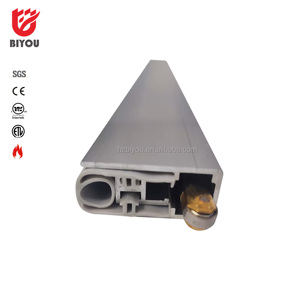 Joints inférieurs <span class=keywords><strong>de</strong></span> <span class=keywords><strong>porte</strong></span> rabattable automatique en <span class=keywords><strong>aluminium</strong></span> avec boulon à rouleau pour <span class=keywords><strong>porte</strong></span> pivotante - Product Image 1
