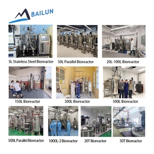 Máquina de Fermentación de Biofertilizantes, Biorreactor de Acero Inoxidable de 200L con CIP/SIP y PLC para Fertilizante Líquido con Vacunación - Product Image 3