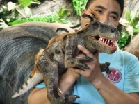 Boneka Tangan Dinosaurus Mini Raptor Berbulu Lucu Realistis, Mulut Dapat Dibuka Tutup dengan Suara, Interaktif untuk Dalam Ruangan