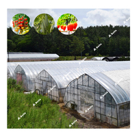 Serre agricole SINO AGRI multi-travées à film PE monocouche pour tomates et légumes, structure en acier, taille personnalisable, ensemble complet
