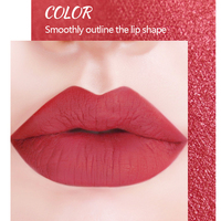 Ensemble de rouges à lèvres mats, imperméables, résistants à la transpiration, haute pigmentation, longue tenue 24 heures, non desséchant, pour activités de plein air, maquillage en gros